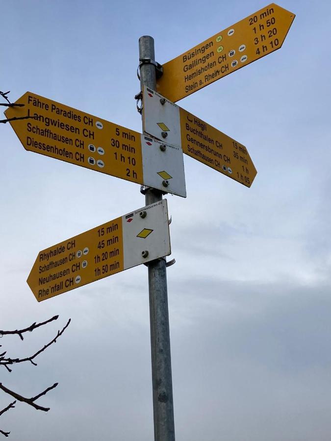 Appartement Buesingen Am Hochrhein Radfahren, Wandern, Natur Geniessen Extérieur photo