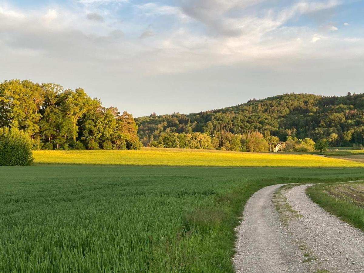 Appartement Buesingen Am Hochrhein Radfahren, Wandern, Natur Geniessen Extérieur photo