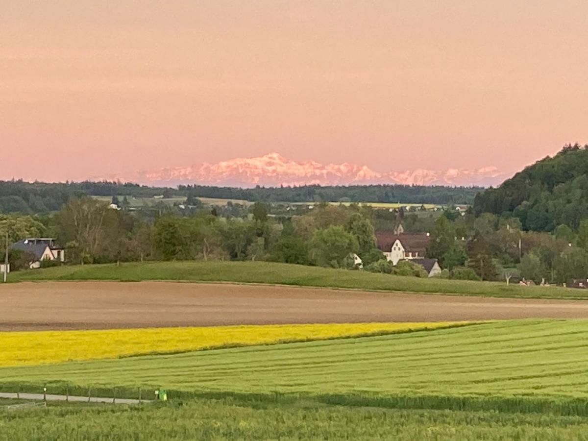 Appartement Buesingen Am Hochrhein Radfahren, Wandern, Natur Geniessen Extérieur photo