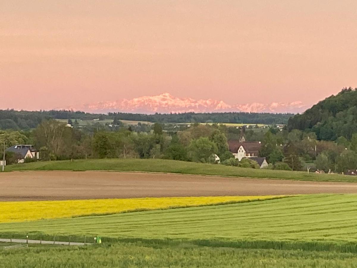Buesingen Am Hochrhein Radfahren, Wandern, Natur Geniessen Extérieur photo