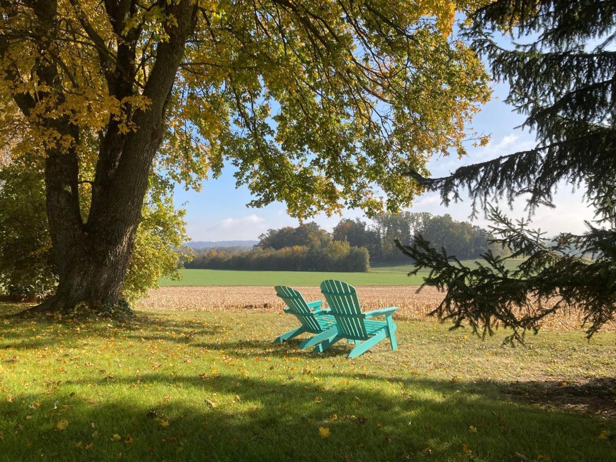 Appartement Buesingen Am Hochrhein Radfahren, Wandern, Natur Geniessen Extérieur photo