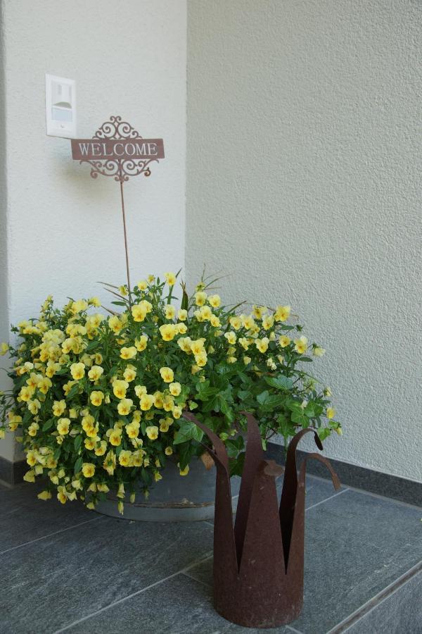 Appartement Buesingen Am Hochrhein Radfahren, Wandern, Natur Geniessen Extérieur photo